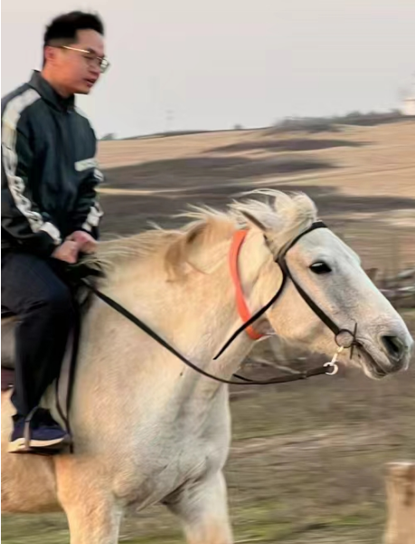 众森员工图片